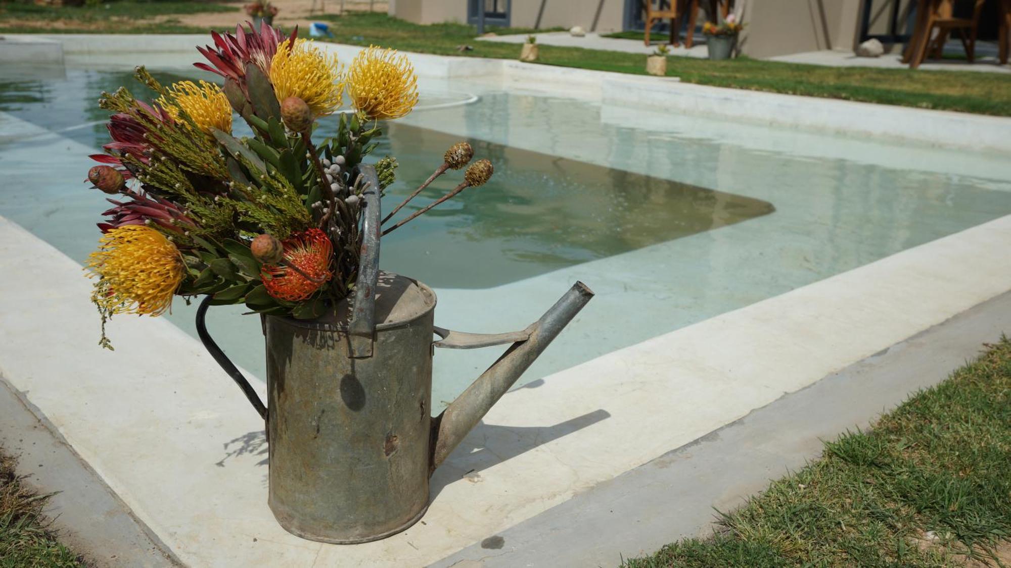 Bed & Breakfast Stellar Overberg Travellers 2*