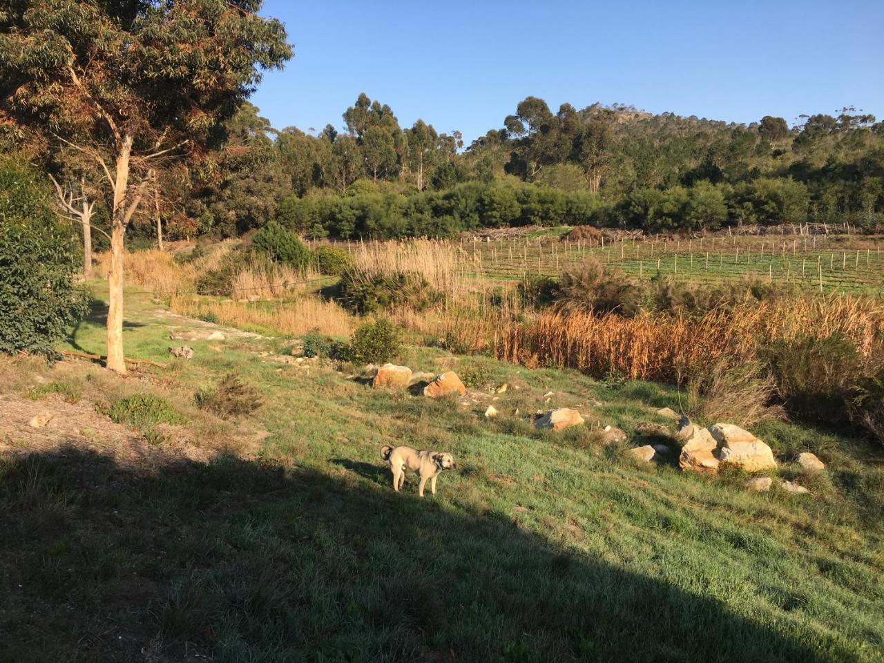 Stellar Overberg Travellers Bed & Breakfast 2*