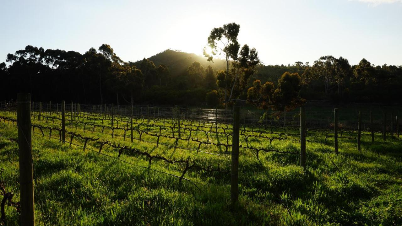 Stellar Overberg Travellers Bed & Breakfast