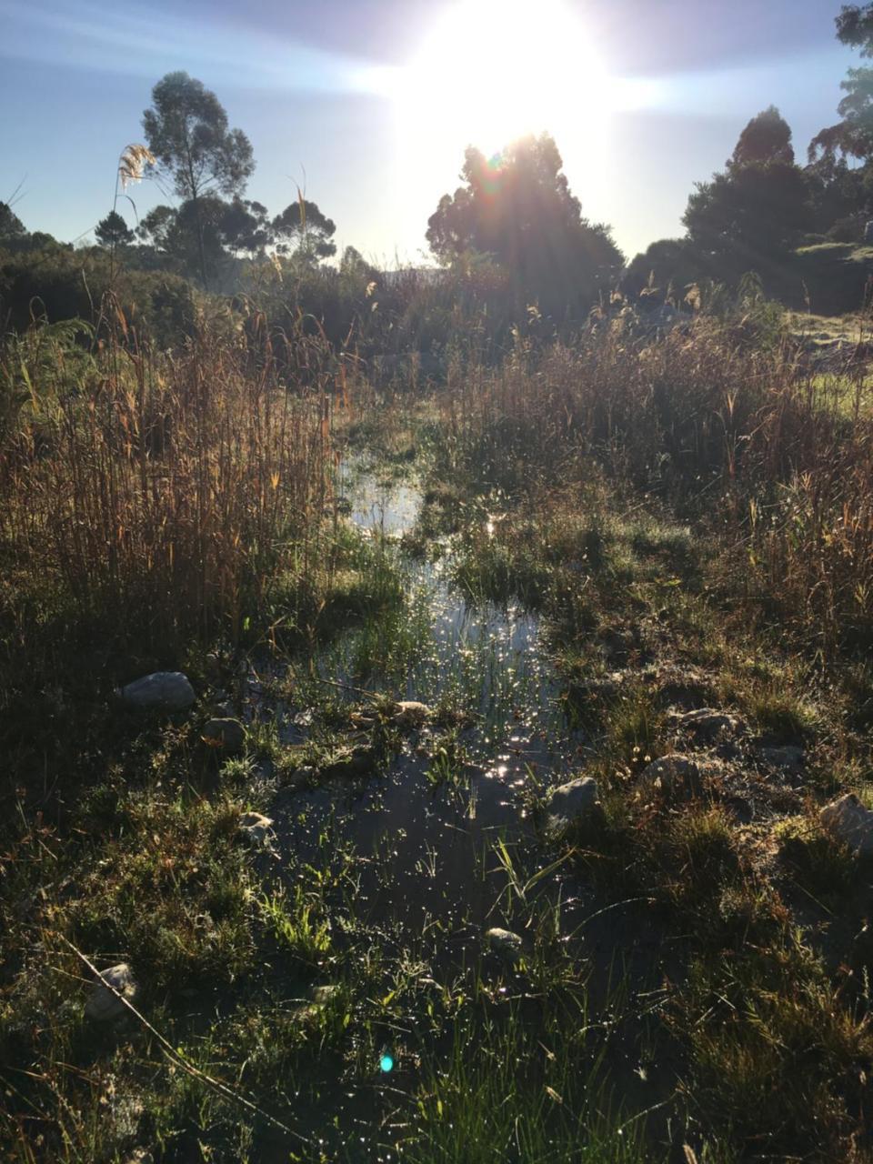 Stellar Overberg Travellers Bed & Breakfast Napier