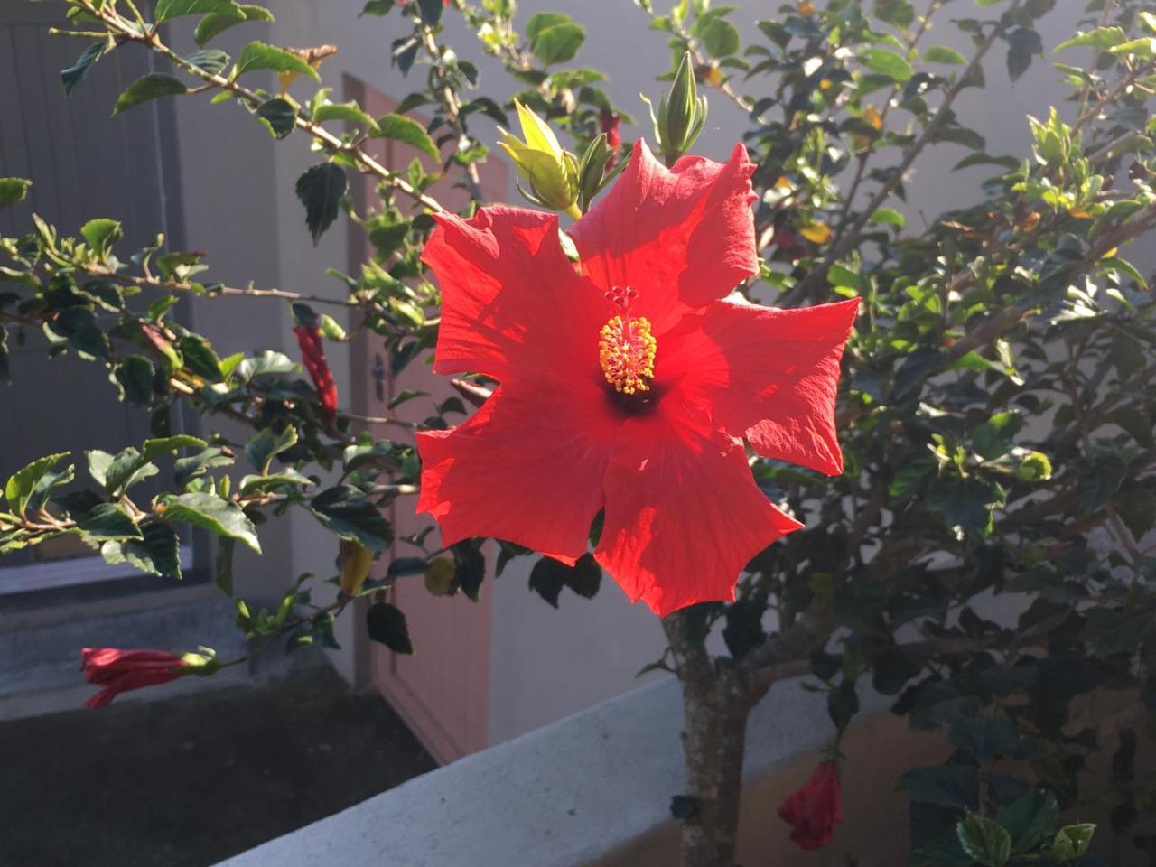 Stellar Overberg Travellers Bed & Breakfast 2*