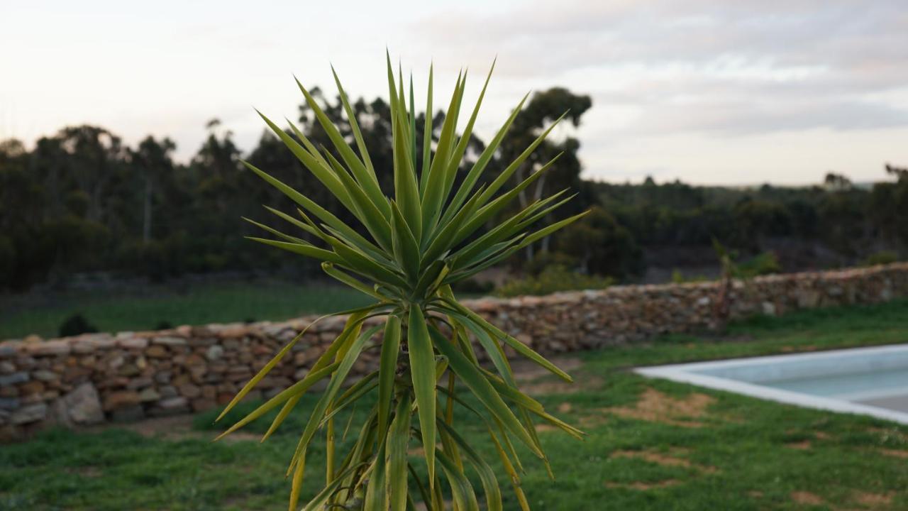 Bed & Breakfast Stellar Overberg Travellers