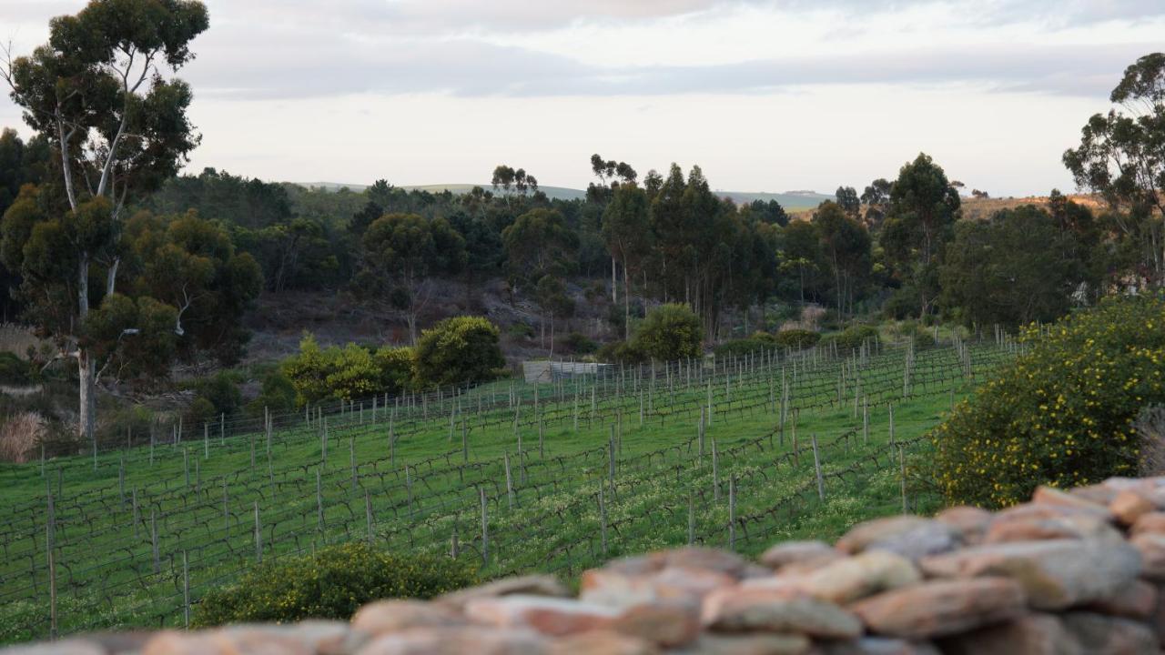 Stellar Overberg Travellers